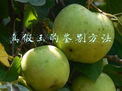 真假玉的鉴别方法