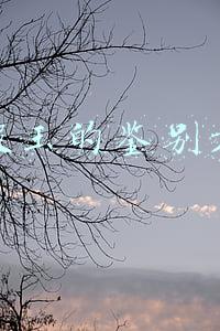 真假玉的鉴别方法
