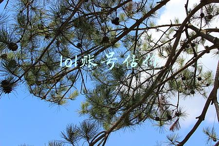 lol账号估价 lol账号估价