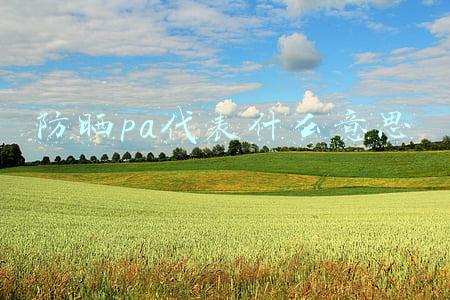 防晒pa代表什么意思