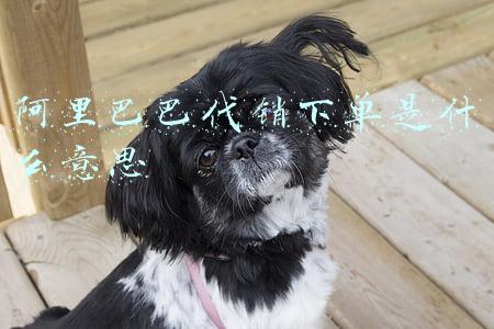 阿里巴巴代销下单是什么意思