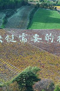 区块链需要的技术