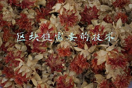 区块链需要的技术