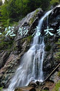 开宠物店的资金要多少？_开宠物网店需要多少钱
