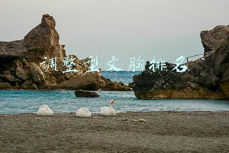 调整型文胸排名