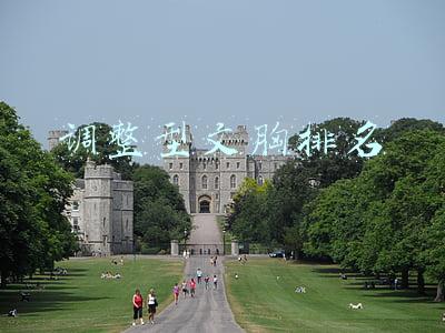 调整型文胸排名