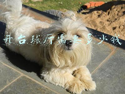 开台球厅需要多少钱
