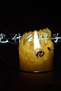 钱包什么牌子好