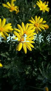 斗地主赚钱