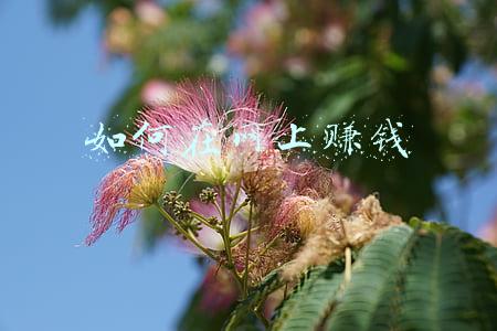 如何在网上赚钱