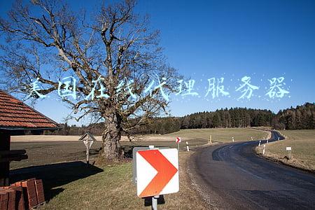 美国在线代理服务器