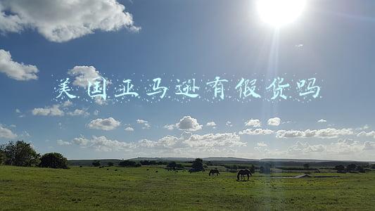 美国亚马逊有假货吗