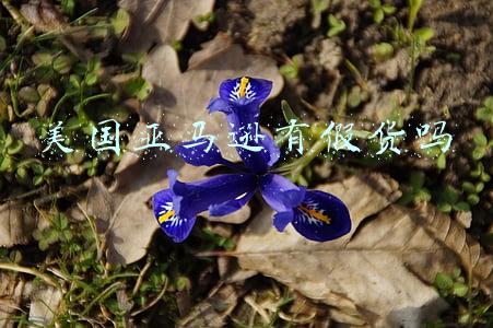 美国亚马逊有假货吗