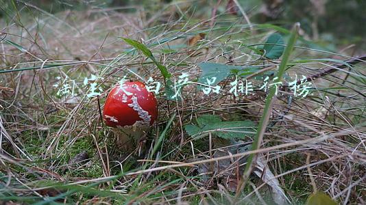 淘宝美白产品排行榜