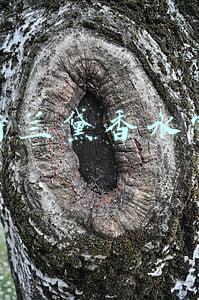雅诗兰黛香水官网