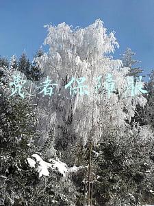 消费者保障服务有哪些(招联金融小课堂，解读金融消费者的八大权益)