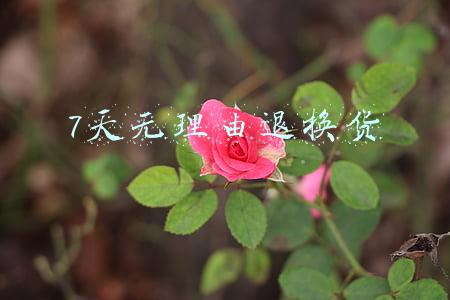 7天无理由退换货
