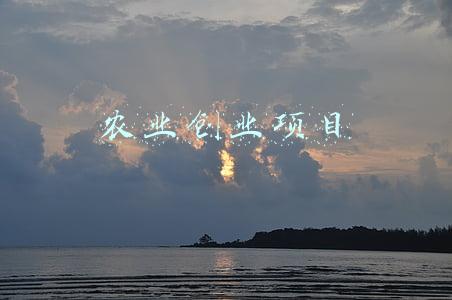 农业创业项目