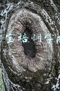 淘宝培训学校