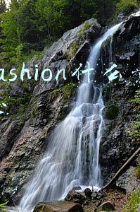 fashion什么意思
