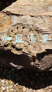 开母婴店需要多少钱?（母婴店大概需要多少钱）