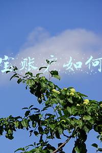支付宝账户如何注销