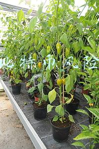 比特币风险大吗(人民日报海外版：比特币冲高，风险要当心)