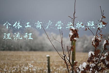 个体工商户营业执照办理流程