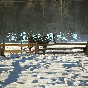淘宝标题权重