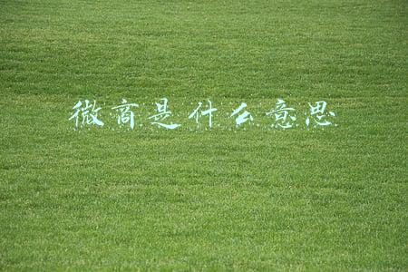 微商是什么意思