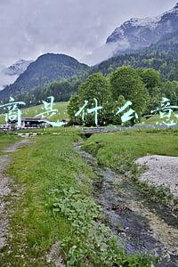 为尚是什么意思(康希诺：mRNA新冠疫苗尚在临床前研究，将做好回购资金安排)