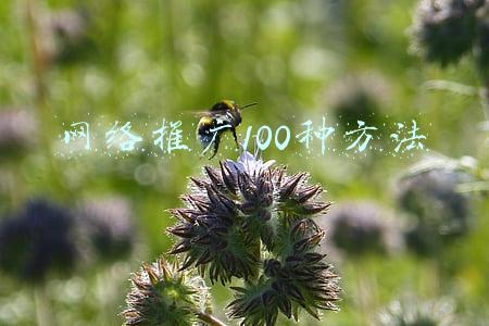 网络推广100种方法