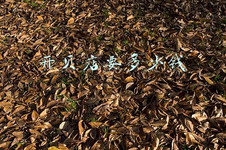 贝店到底是怎么回事，能不能赚钱，怎么做，我来：贝店开店怎么赚钱