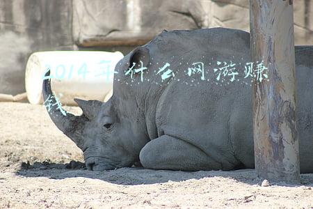 2014年什么网游赚钱