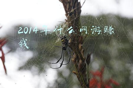 2014年什么网游赚钱
