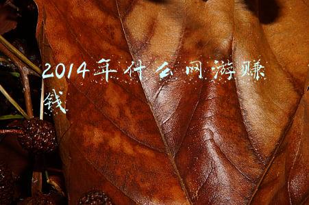 2014年什么网游赚钱