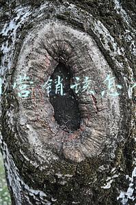 全网营销该怎么做