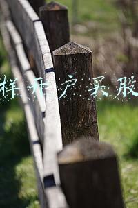 怎样开户买股票