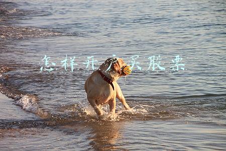 怎样开户买股票
