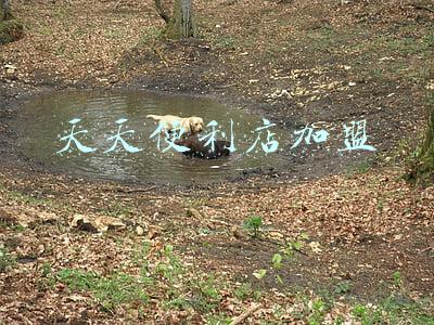 天天便利店加盟