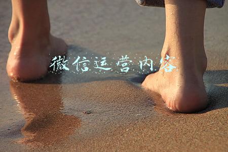 微信运营内容