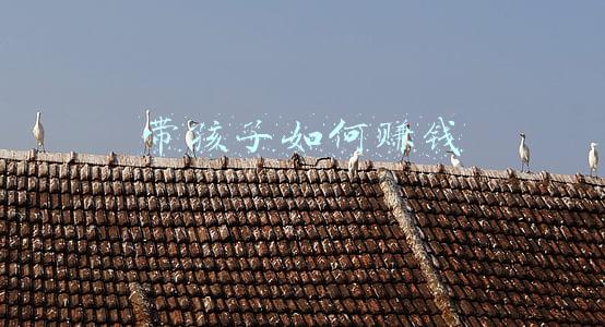 带孩子如何赚钱