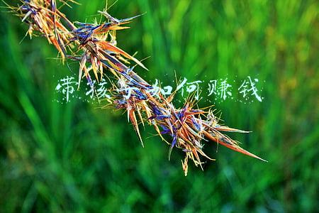 在家带孩子如何赚钱(作为妈妈，在家里带孩子怎么赚零花钱)