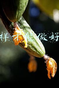 怎么样才能做好生意