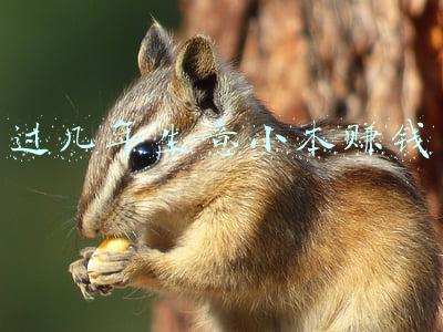 过几年生意小本赚钱