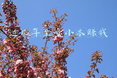 过几年生意小本赚钱