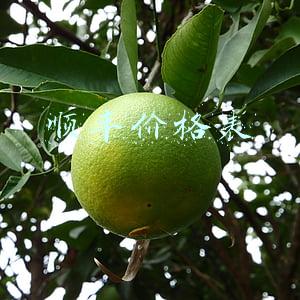 顺丰价格表