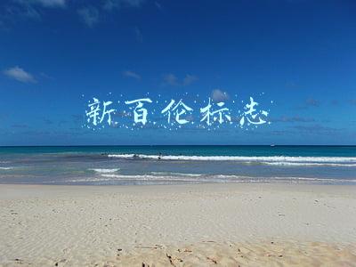 新百伦标志
