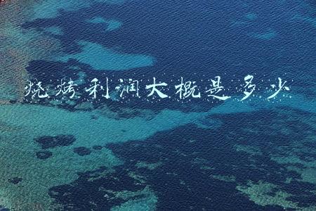 烧烤利润大概是多少