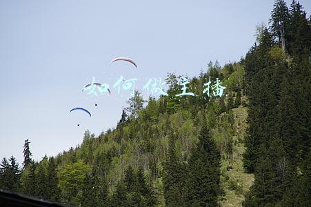 如何做主播才能赚钱(不知道怎么赚钱？去研究一下直播吧)